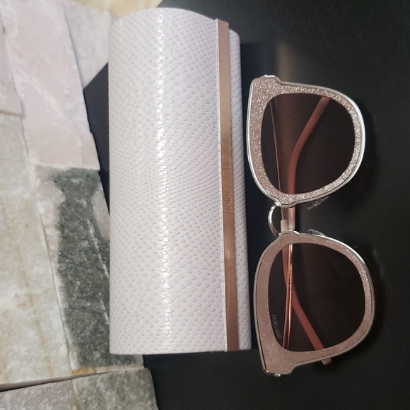 JIMMY CHOO Niles Oversize Cat Eye Sunglasses - Picture 10 of 12